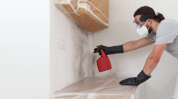 Professional Bathroom Mold Removal technician working in Newburg, MD
